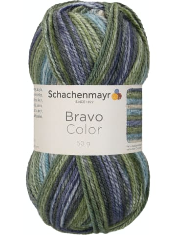 Schachenmayr since 1822 Handstrickgarne Bravo Color, 50g in Moor