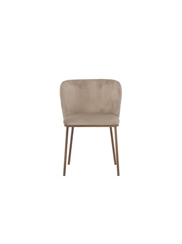 ebuy24 Esszimmerstuhl Edina Beige 2er Set