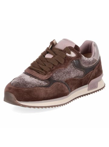 Gabor Low Sneaker in braun