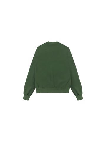 COLMAR Sweatshirt 6153R in gruen