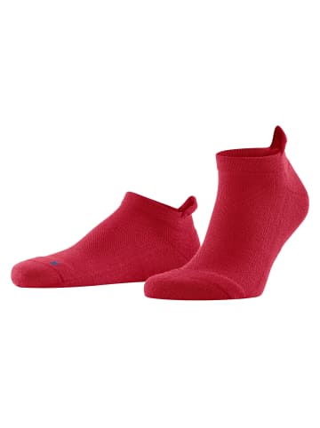 Falke Socken 1er Pack in Rot