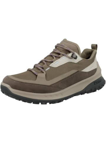 Ecco Freizeit Schnürer für Damen in beige