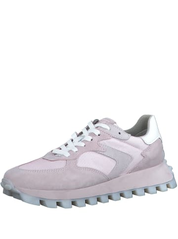 Tamaris Sneaker Low in Rosa