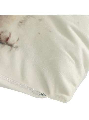 REDBEST Nicky-Velours Kissenhülle in grau-rot