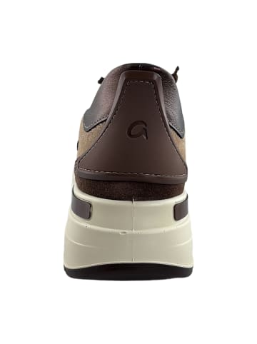 ara Sneaker Low in Braun