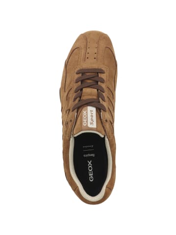 Geox Sneaker low U Snake A in braun