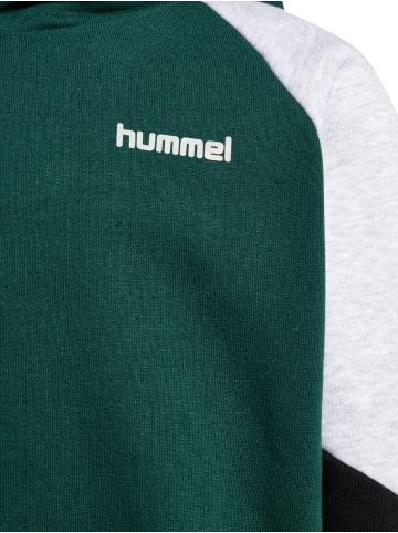 Hummel Kapuzenpullover Raglanärmel Hmljr Loose Kinder in JUNE BUG