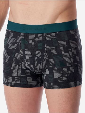 Schiesser Trunk 955 Multi in sortiert19