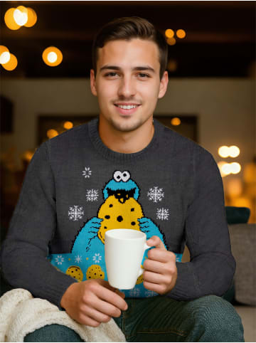 Sesamstraße Sesamstraße Winterpullover - Krümelmonster in grau