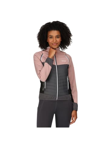 Regatta Wanderjacke Steren in DuskyRs/SlGy