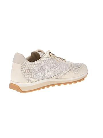 Cetti Sneaker low C-848 SRA V26 in Beige