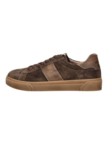 Nero Giardini Sneaker in Braun