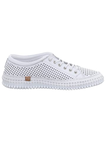 Andrea Conti Sneaker in weiß