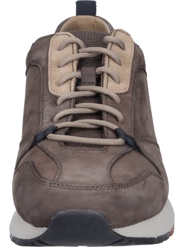 Pius Gabor Schnürschuhe in mocca