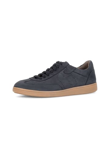 Gabor Sneaker low in blau