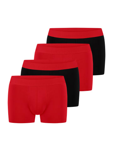 Bruno Banani Retro Short / Pant Flowing in Rot / schwarz