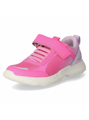 Low Sneaker RUSH in pink