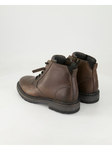 SALAMANDER Stiefeletten in Braun
