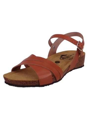 Plakton Sandalen braun