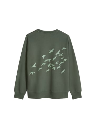 Marc O'Polo TEENS-BOYS Sweatshirt in Grün