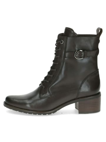Caprice Schnür-Stiefeletten in Dunkelbraun