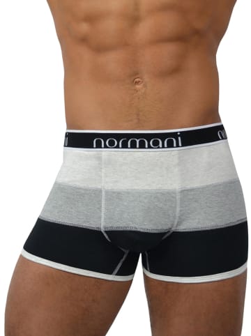 normani 6 Stück Retro Boxershorts aus Baumwolle in Retro Dezent