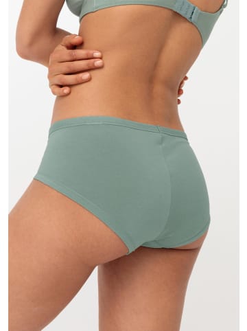 Hessnatur Panty in salbei