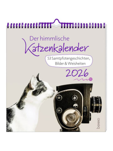 St. Benno Kalender - Der himmlische Katzenkalender 2026