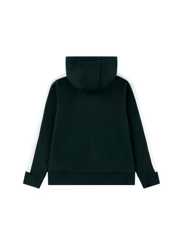 Lacoste Sweatjacke in dunkelgrün