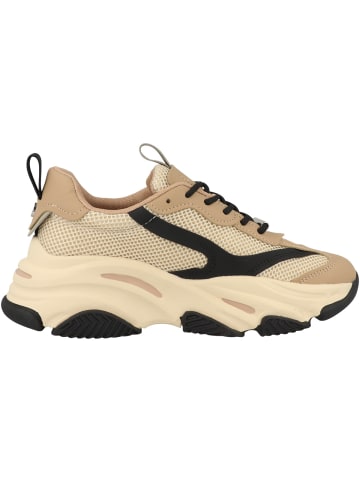 Steve Madden Sneaker low Possession-E in creme/hellbraun