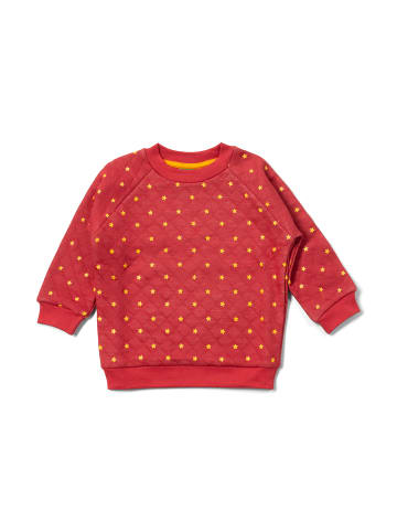 Little Green Radicals Bio-Steppsweatshirt in Rot