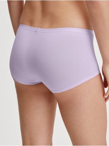 Calida Panty in orchid petal