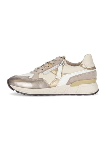 Gabor Sneaker low in multicolour