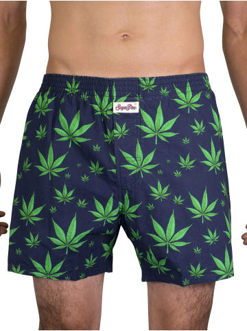 Sugar Pine Boxershorts Hanf in Hanf