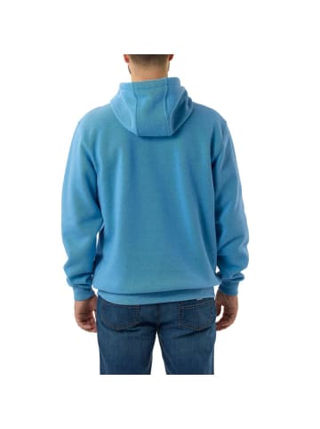 CARHARTT  Logo Sweatshirt in Hellblau