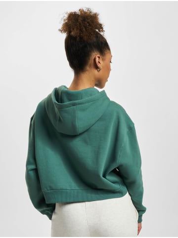 ellesse Kapuzenpullover in dark green