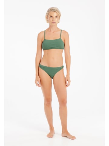 Protest " PRTDice in Veggie Green