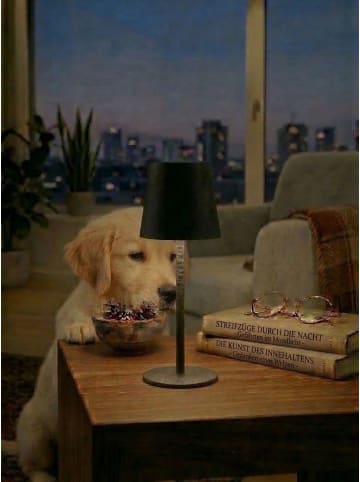 Coen Bakker LED Tischlampe dimmbar Innen & Außen 27,5x7cm Glatt in Schwarz