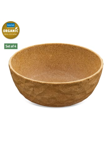 koziol CLUB BOWL * - Schale 700ml in nature wood