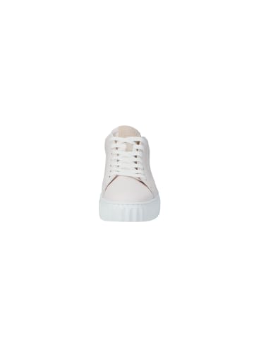 LLOYD Lowtop Sneaker Lloyd Sneaker in CHALK/DESERT