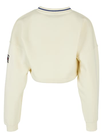 FUBU Sweaters in offwhite