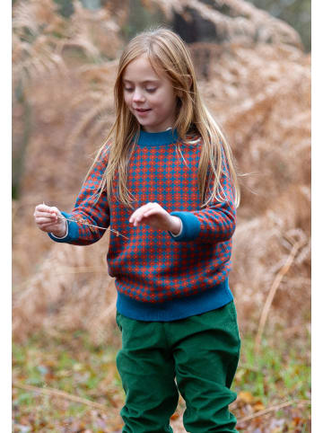 Little Green Radicals Organic Knitted Jumper in Multi