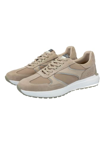 JOOP! Sneaker in Beige