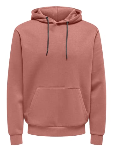 ONLY & SONS Sweatshirt / Hoodie Ceres in Ash rose
