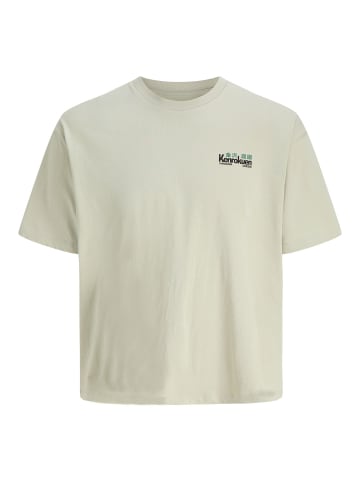Jack & Jones T-shirt in Desert Sage
