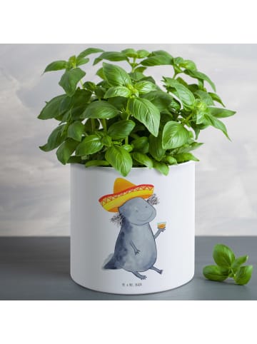 Mr. & Mrs. Panda Kübel für Pflanzen Axolotl Tequila ohne Spruch in Weiß