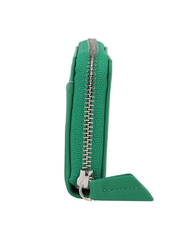 Braun Büffel Joy Schlüsseletui Leder 10.5 cm fern green
