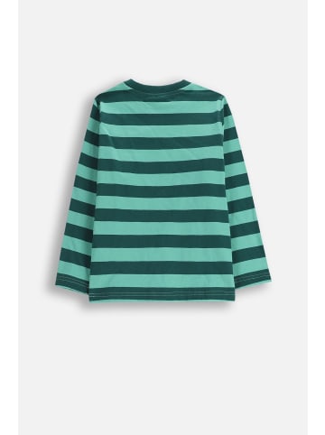 Coccodrillo Langarmshirt aus Baumwolle in grün