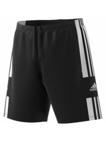 adidas adidas Herren Shorts Sq21 Dt SHO