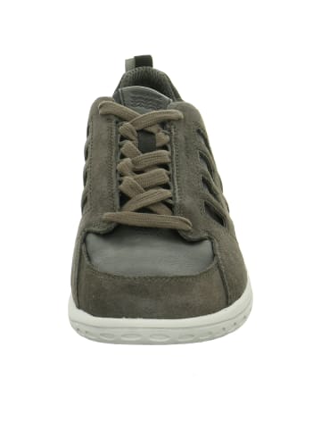 Geox Sneaker für Herren in kombi